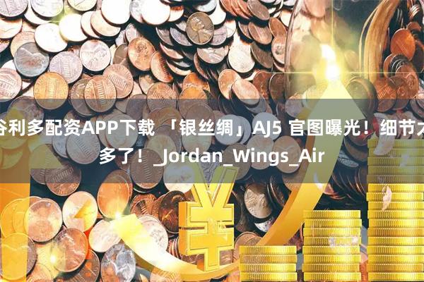 谷利多配资APP下载 「银丝绸」AJ5 官图曝光！细节太多了！_Jordan_Wings_Air