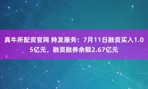 真牛所配资官网 特发服务：7月11日融资买入1.05亿元，融资融券余额2.67亿元