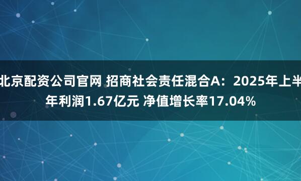 北京配资公司官网 招商社会责任混合A：2025年上半年利润1.67亿元 净值增长率17.04%