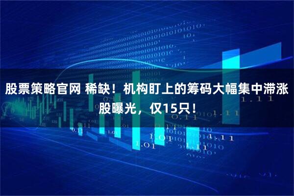 股票策略官网 稀缺！机构盯上的筹码大幅集中滞涨股曝光，仅15只！